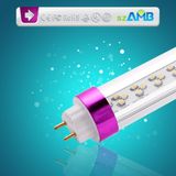 SAA Approval (CRI>80) T8 LED Tube